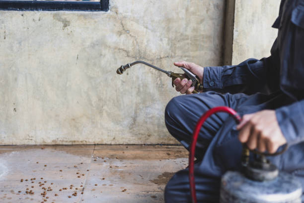 Best Best Pest Control Companies  in Fulda, MN