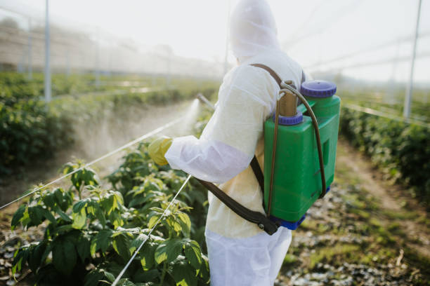 Pest Control Cost in Fulda, MN